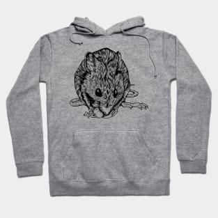 Drawing of a rat Hoodie